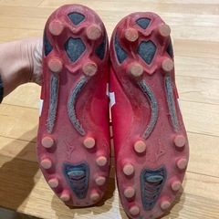 スパイク？　24.5cmの画像