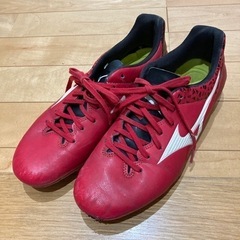 スパイク？　24.5cm