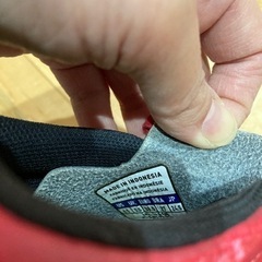 スパイク？　24.5cmの画像