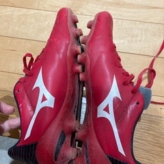 スパイク？　24.5cmの画像