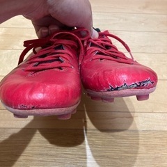 スパイク？　24.5cmの画像