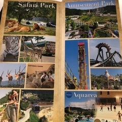 姫路セントラルパーク　チケット　2枚最安の画像