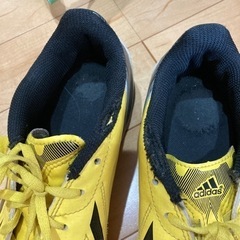 スパイク？23.5cmの画像