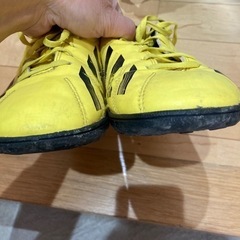 スパイク？23.5cmの画像