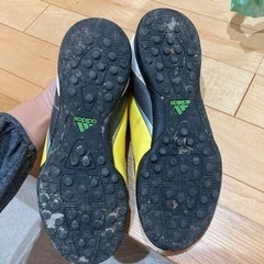 スパイク？23.5cmの画像