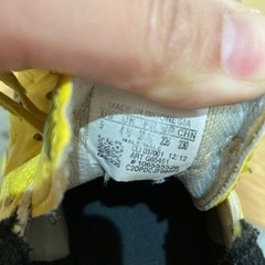 スパイク？23.5cmの画像