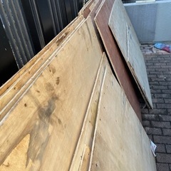 木板　　早い者勝ちの画像