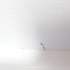 絵本棚　<Pieni wide>の画像