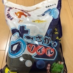 おさかなソイル　4Lくらい