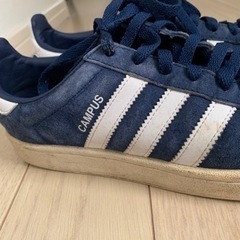 アディダススニーカーとランドリーバスケットセットあげます。の画像