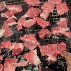 ★バーベキュー★三田市野外センターに集合‼️