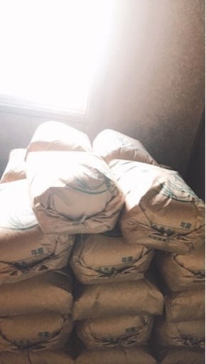 2021年　愛知産コシヒカリ　30キロ　玄米