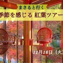 11/16 まさると行く【季節を感じる 紅葉ツアー】