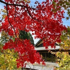 11/16 まさると行く【季節を感じる 紅葉ツアー】 - 唐津市