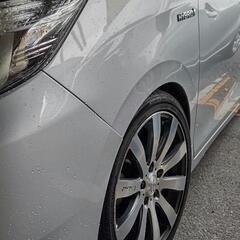 エスクワイアリアツライチ、ややディープ