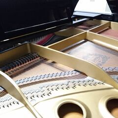 【二子玉川】✨プリマミューズ音楽教室 ✨の画像