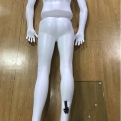 ヘッドレス　マネキン　メンズの画像
