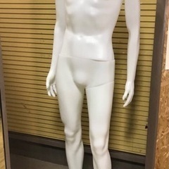 ヘッドレス　マネキン　メンズ