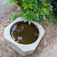 つくばい