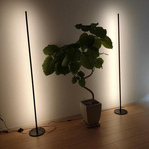観葉植物、スタンドライト セット