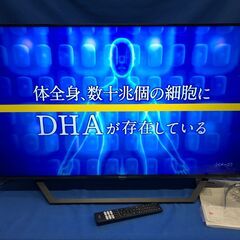 【動作保証あり】Hisense 2021年 43U7F 4Kチューナー内蔵 43V型 液晶テレビ【管理KRT179】