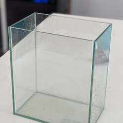 コレクションケースM 水作　ベタ　熱帯魚　水槽