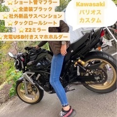 【直接取引希望】今だけ値引き中　カスタム　KAWASAKI バリオス250 2型　ショート管 の画像