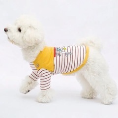 犬の服 きいろ ディズニー フレンズボーダーTシャツ の画像