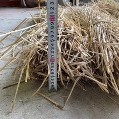 一束　稲藁　藁　農業資材　家庭菜園　マルチ　鰹のたたき　ペット資材　※受付中は取引可能の画像