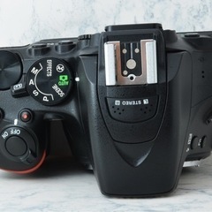 S数少なめ○Wi-Fi内蔵○初心者向け○すぐ使える○ニコン D5500