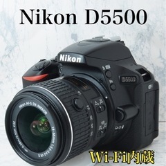 S数少なめ○Wi-Fi内蔵○初心者向け○すぐ使える○ニコン D5500