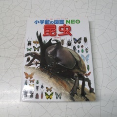 小学館の図鑑ＮＥＯ　昆虫