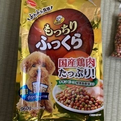 犬　ドッグフード