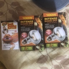 フトアゴヒゲトカゲ飼育用品の画像