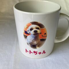 副業として、商品を販売してみたい方
