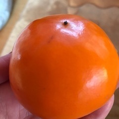 残りわずか！富有柿