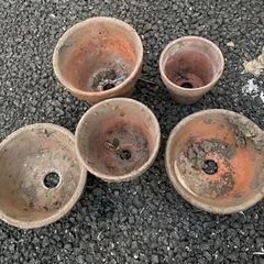 植木鉢　小サイズ 5個　まとめ　現状品の画像
