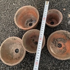植木鉢　小サイズ 5個　まとめ　現状品の画像