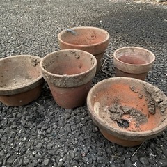 植木鉢　小サイズ 5個　まとめ　現状品の画像