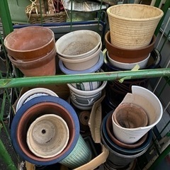 植木鉢　大サイズ　まとめ　現状品　✳︎一点からでも可の画像