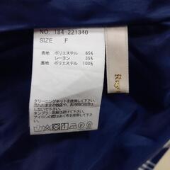 Ray Cassin スカート お話中の画像