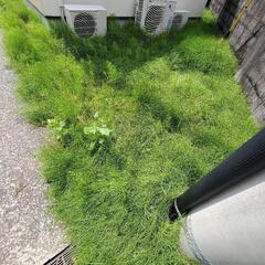 お庭の終活始めませんか？