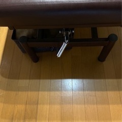 ベット　施術用の画像