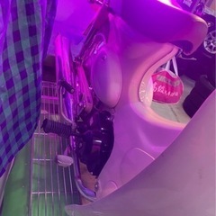 リトルカブ　ホンダ　の画像