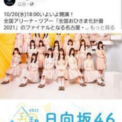 日向坂好きな方！