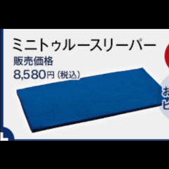 トゥルースリーパー　ごろ寝マット　定価8580円　二枚あります。