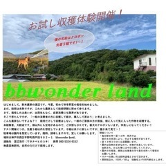 新鮮野菜の収穫体験‼️  毎日絶賛開催中～❗️