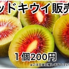 中が赤いキウイ収穫しませんか
