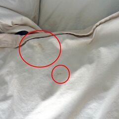 【USED】シングルサイズ　重ねがけ羽毛布団　ダウンの画像