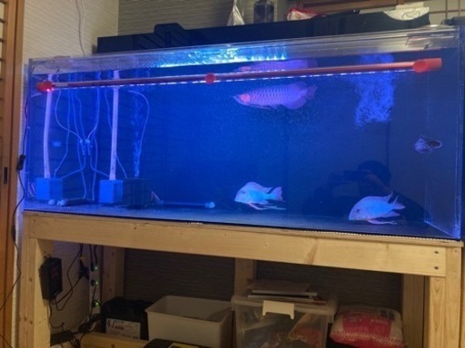 【決まりました】1500 アクリル水槽 水槽台 セット 150cm 水槽 引き取り限定